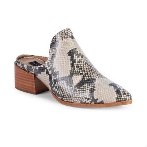Steve Madden Deney Snakeskin Mule New In Box